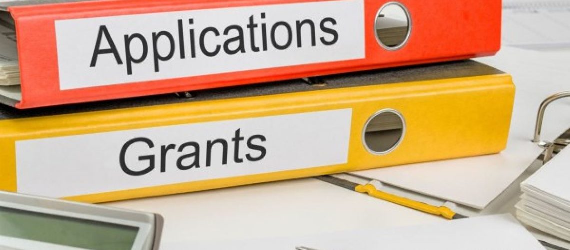 The Ultimate Guide to Government Grants in Singapore